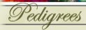 pedigrees